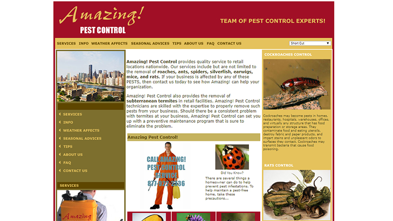 Amazing Pest Control New York Design Studio New York City